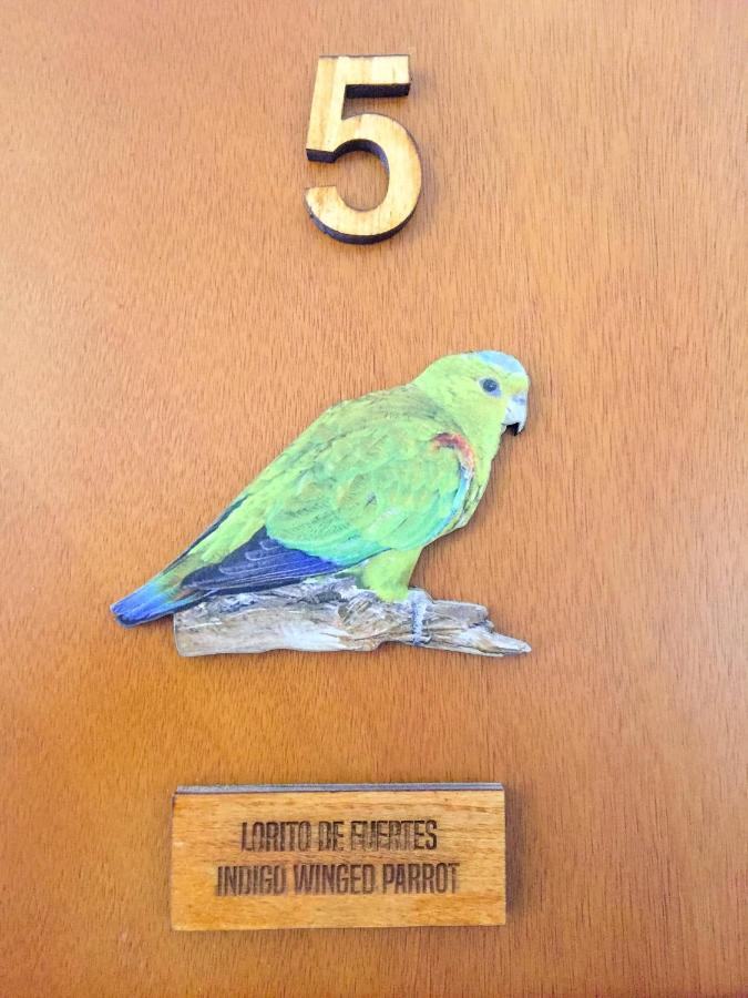 Cotinga Hotel Spa 佩雷拉 外观 照片